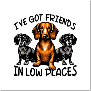 Dachshund I've Got Friends In Low Places Wiener Dog Posters and Art